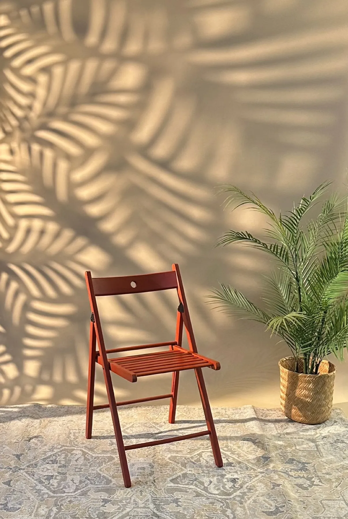 The photography set at Studio C, with palm shadows across the wall
